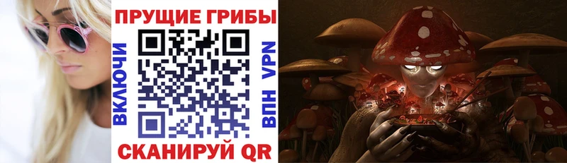 Галлюциногенные грибы мицелий  Орехово-Зуево 